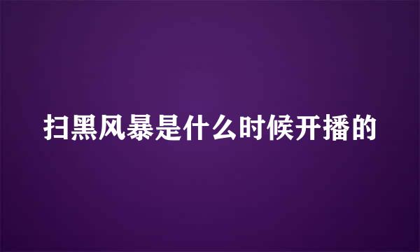扫黑风暴是什么时候开播的