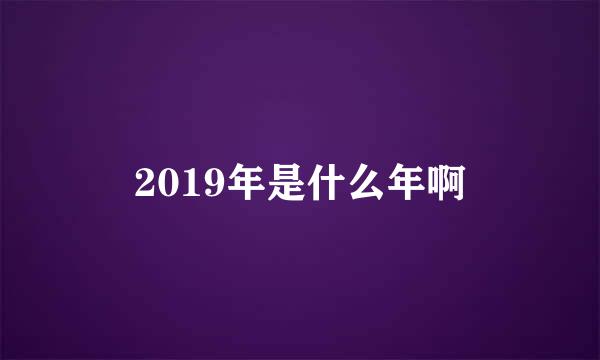 2019年是什么年啊