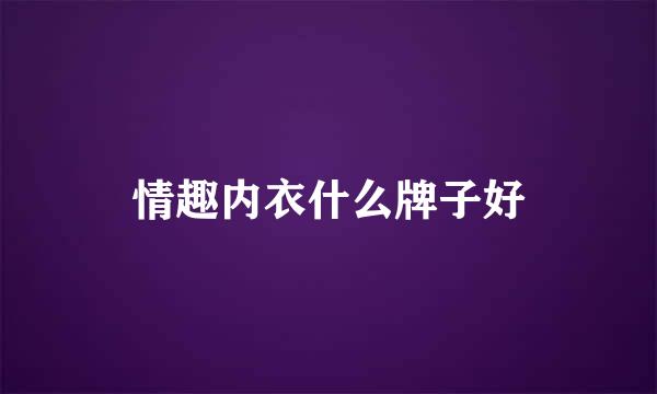 情趣内衣什么牌子好