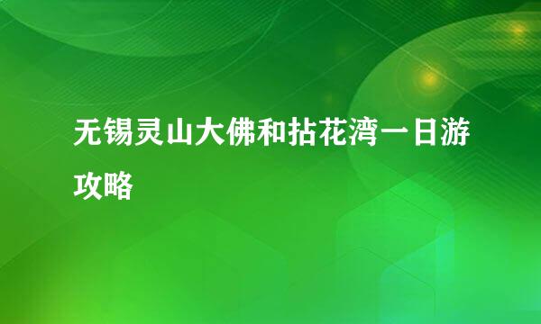 无锡灵山大佛和拈花湾一日游攻略