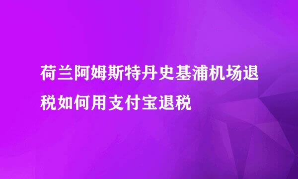 荷兰阿姆斯特丹史基浦机场退税如何用支付宝退税