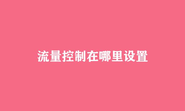 流量控制在哪里设置