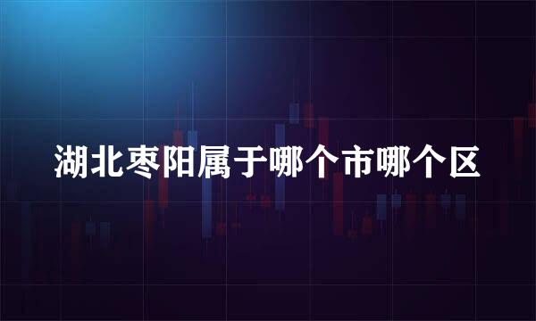 湖北枣阳属于哪个市哪个区