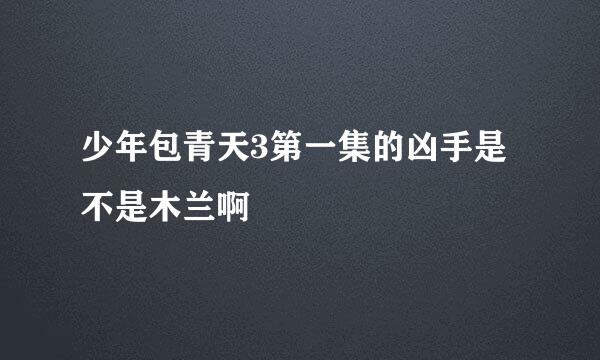 少年包青天3第一集的凶手是不是木兰啊