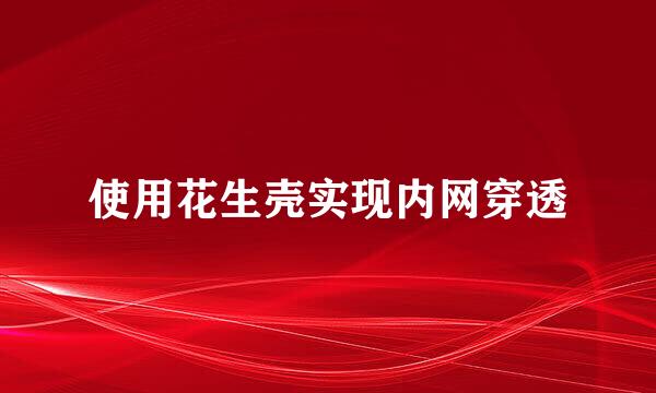 使用花生壳实现内网穿透