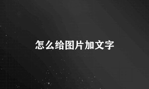怎么给图片加文字