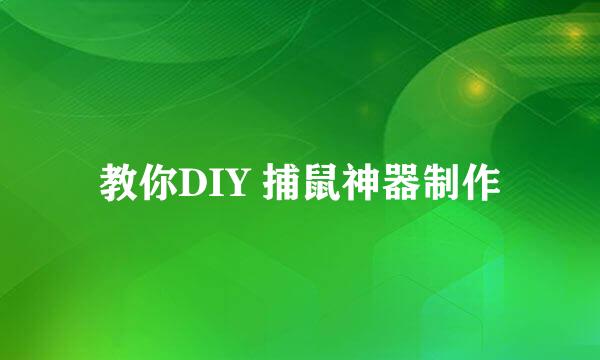 教你DIY 捕鼠神器制作