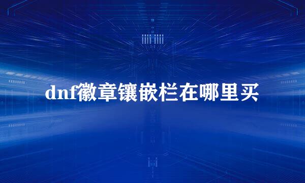 dnf徽章镶嵌栏在哪里买