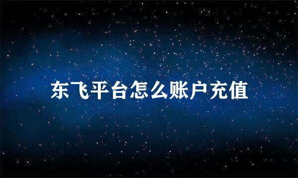 东飞平台怎么账户充值