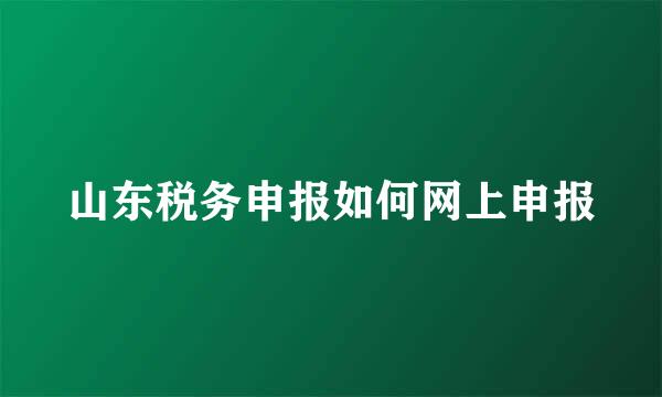 山东税务申报如何网上申报