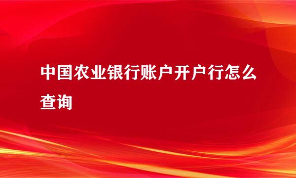中国农业银行账户开户行怎么查询