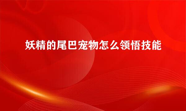 妖精的尾巴宠物怎么领悟技能