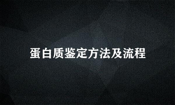 蛋白质鉴定方法及流程
