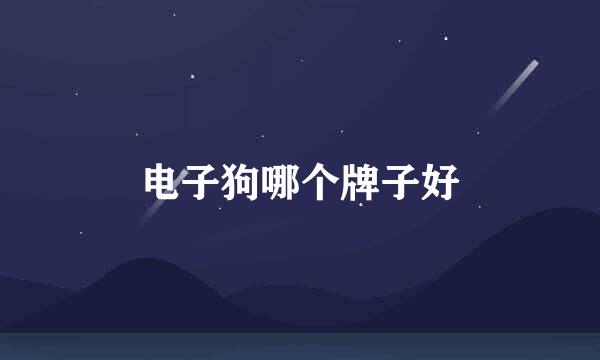 电子狗哪个牌子好