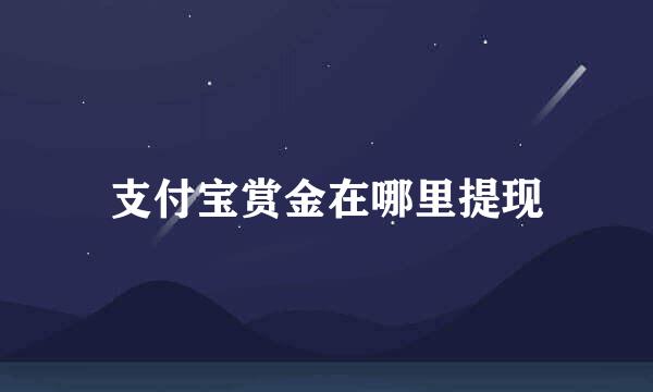 支付宝赏金在哪里提现