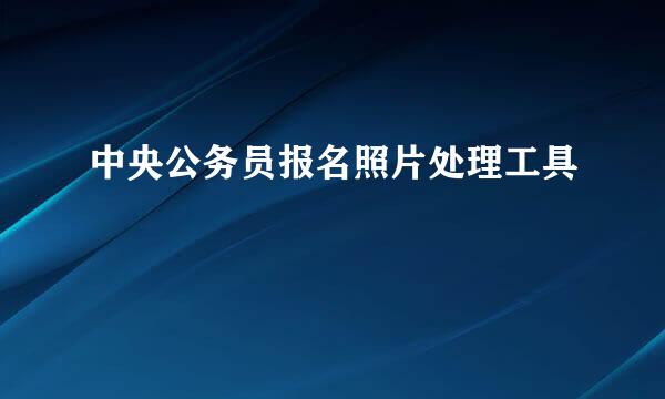 中央公务员报名照片处理工具