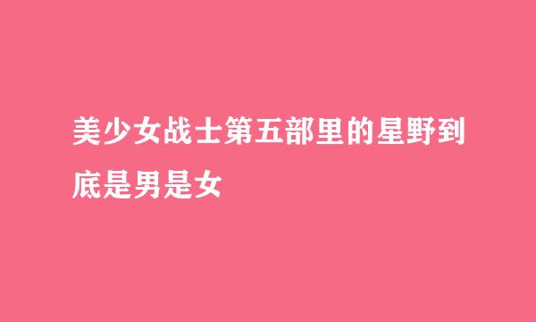 美少女战士第五部里的星野到底是男是女
