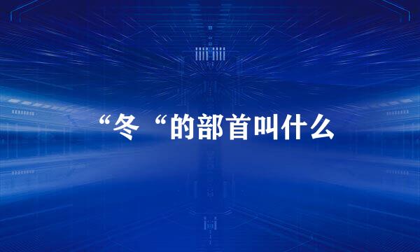 “冬“的部首叫什么