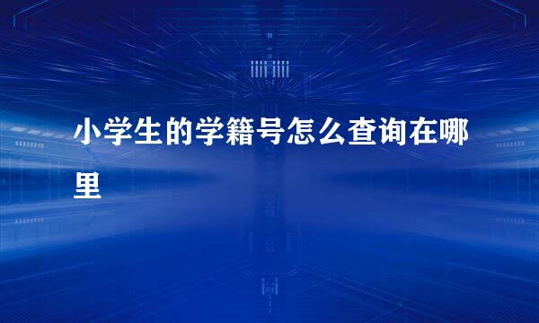 小学生的学籍号怎么查询在哪里