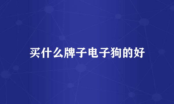 买什么牌子电子狗的好