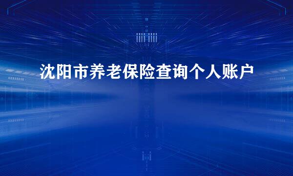 沈阳市养老保险查询个人账户