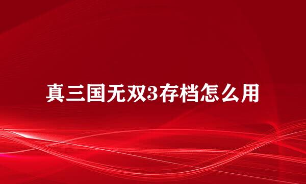真三国无双3存档怎么用