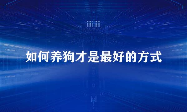 如何养狗才是最好的方式