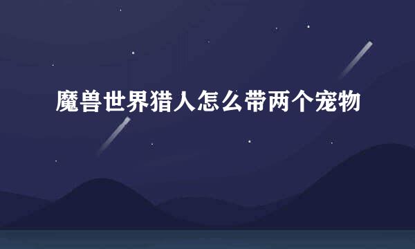 魔兽世界猎人怎么带两个宠物