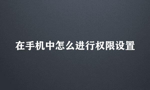 在手机中怎么进行权限设置
