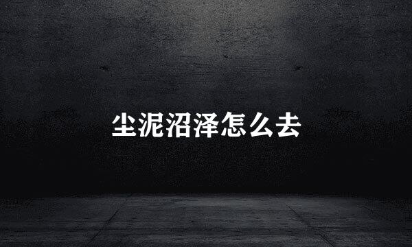 尘泥沼泽怎么去