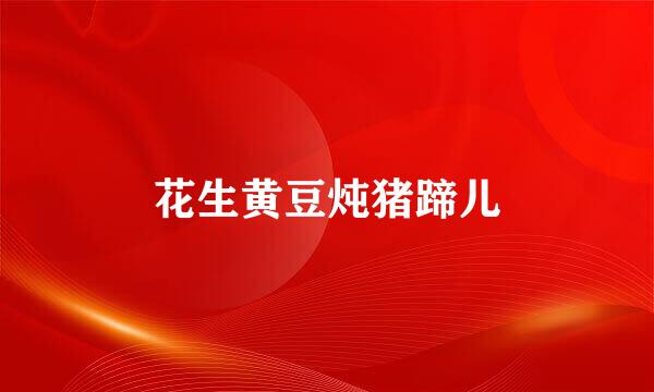 花生黄豆炖猪蹄儿