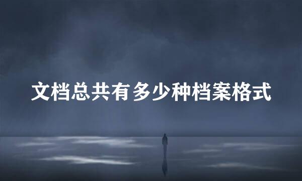 文档总共有多少种档案格式