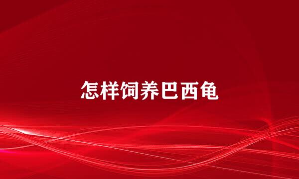 怎样饲养巴西龟