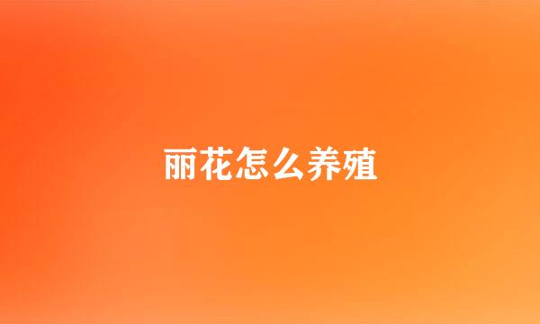 丽花怎么养殖
