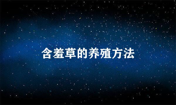 含羞草的养殖方法