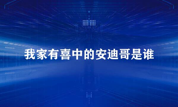 我家有喜中的安迪哥是谁
