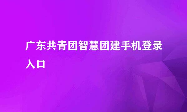 广东共青团智慧团建手机登录入口