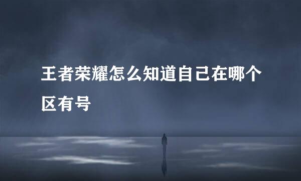 王者荣耀怎么知道自己在哪个区有号