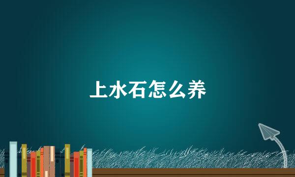 上水石怎么养