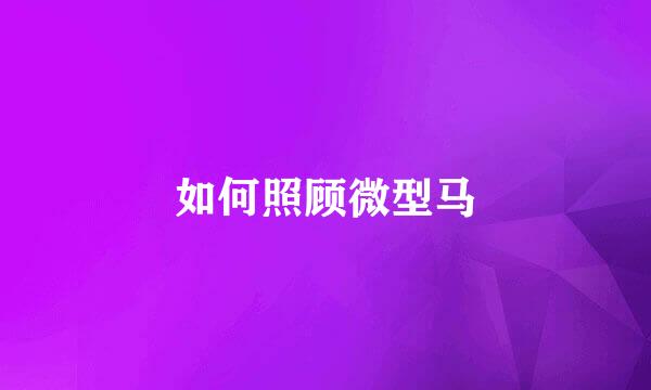 如何照顾微型马