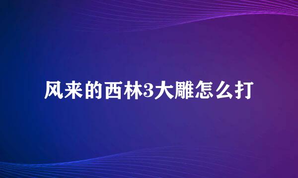 风来的西林3大雕怎么打