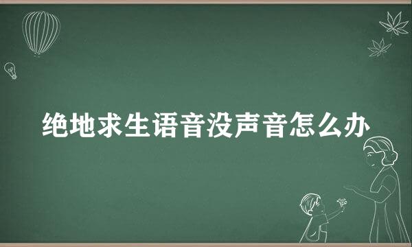 绝地求生语音没声音怎么办