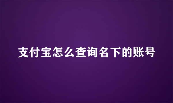 支付宝怎么查询名下的账号