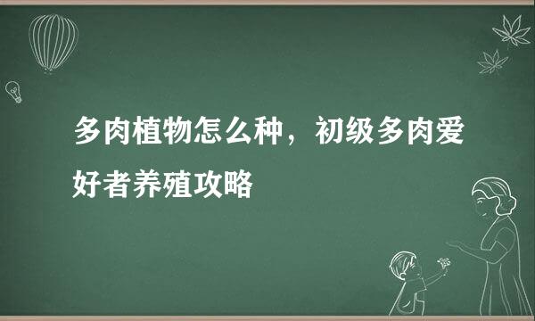 多肉植物怎么种，初级多肉爱好者养殖攻略