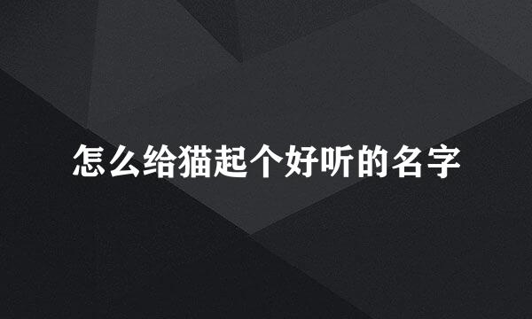 怎么给猫起个好听的名字