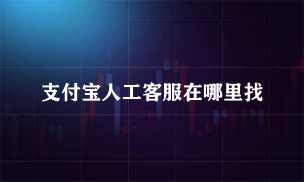 支付宝人工客服在哪里找