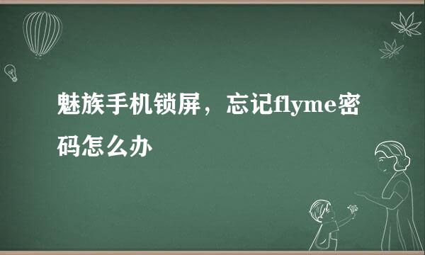 魅族手机锁屏，忘记flyme密码怎么办