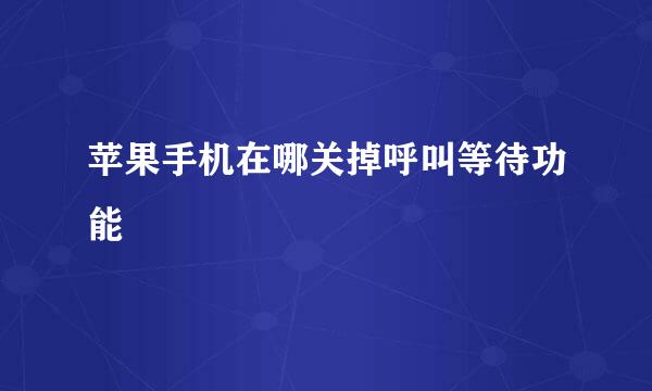 苹果手机在哪关掉呼叫等待功能