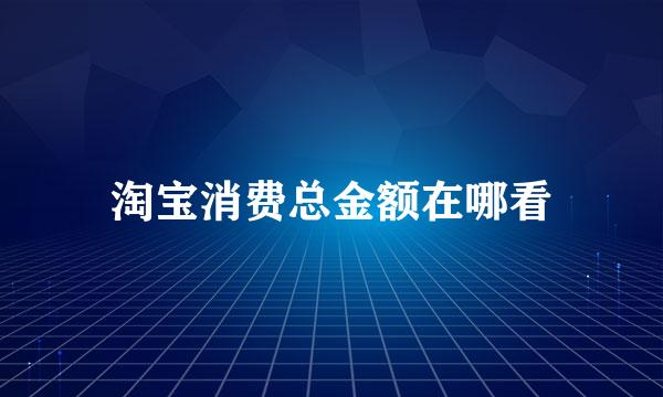 淘宝消费总金额在哪看