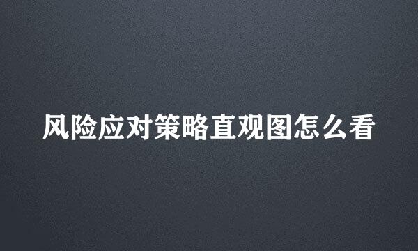 风险应对策略直观图怎么看